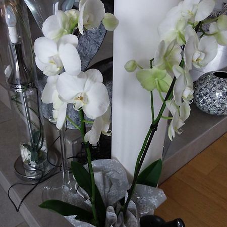 L'Orchidee Villa Lassay-les-Chateaux ภายนอก รูปภาพ
