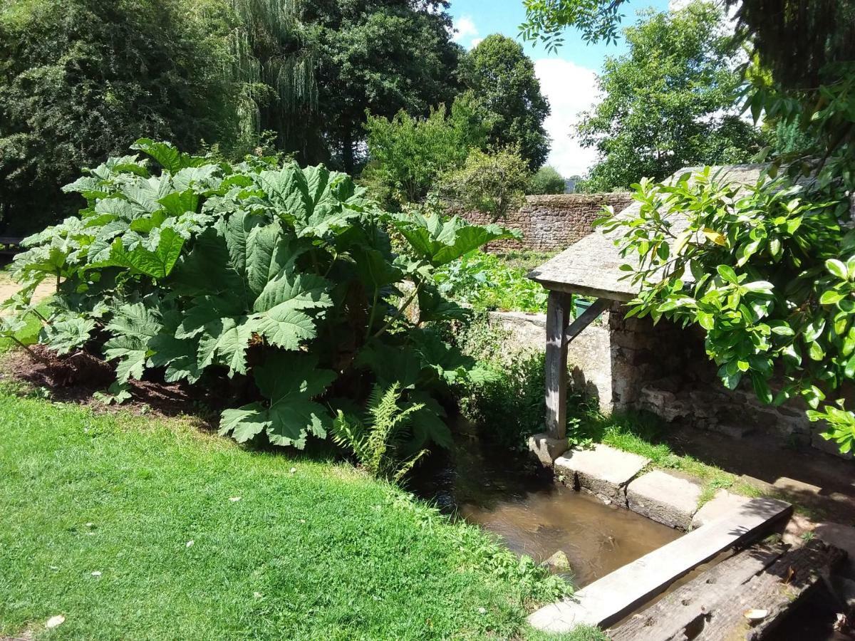 L'Orchidee Villa Lassay-les-Chateaux ภายนอก รูปภาพ